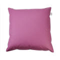 Popular Useful Feather and Down Pillow